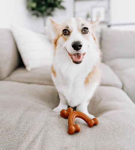 Wishbone Dog Chew Toys for Adult Dogs and Puppies